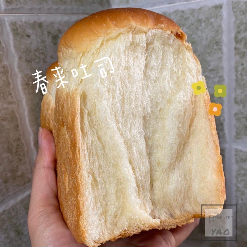 春来吐司