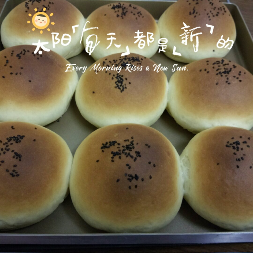 汉堡胚 poolish（波兰种）