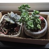 欣妈小灶