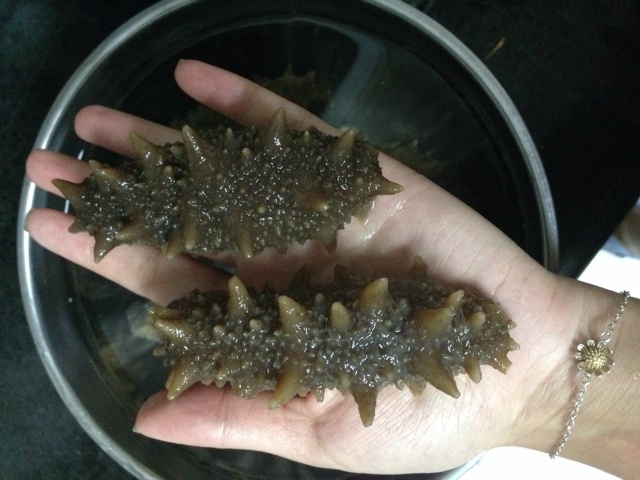 海参泡发攻略