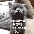 胡歌歌的桃花眼