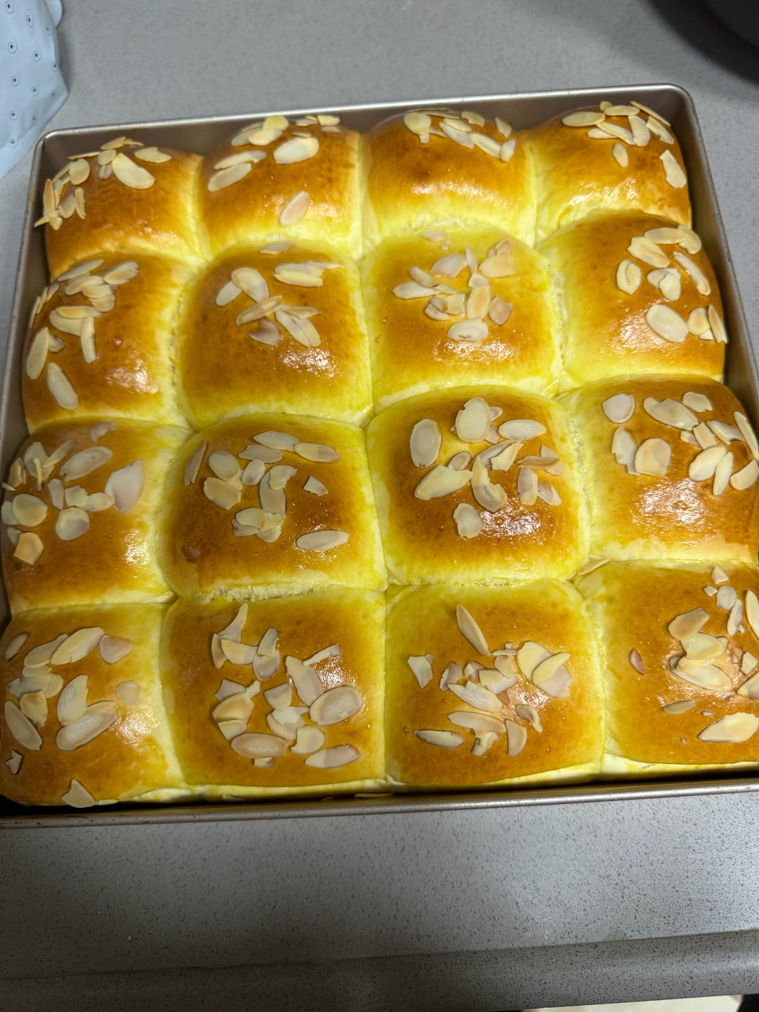 鲜奶油小餐包（一次发酵）