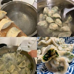 三鲜水饺—韭菜鸡蛋虾仁的做法 步骤16