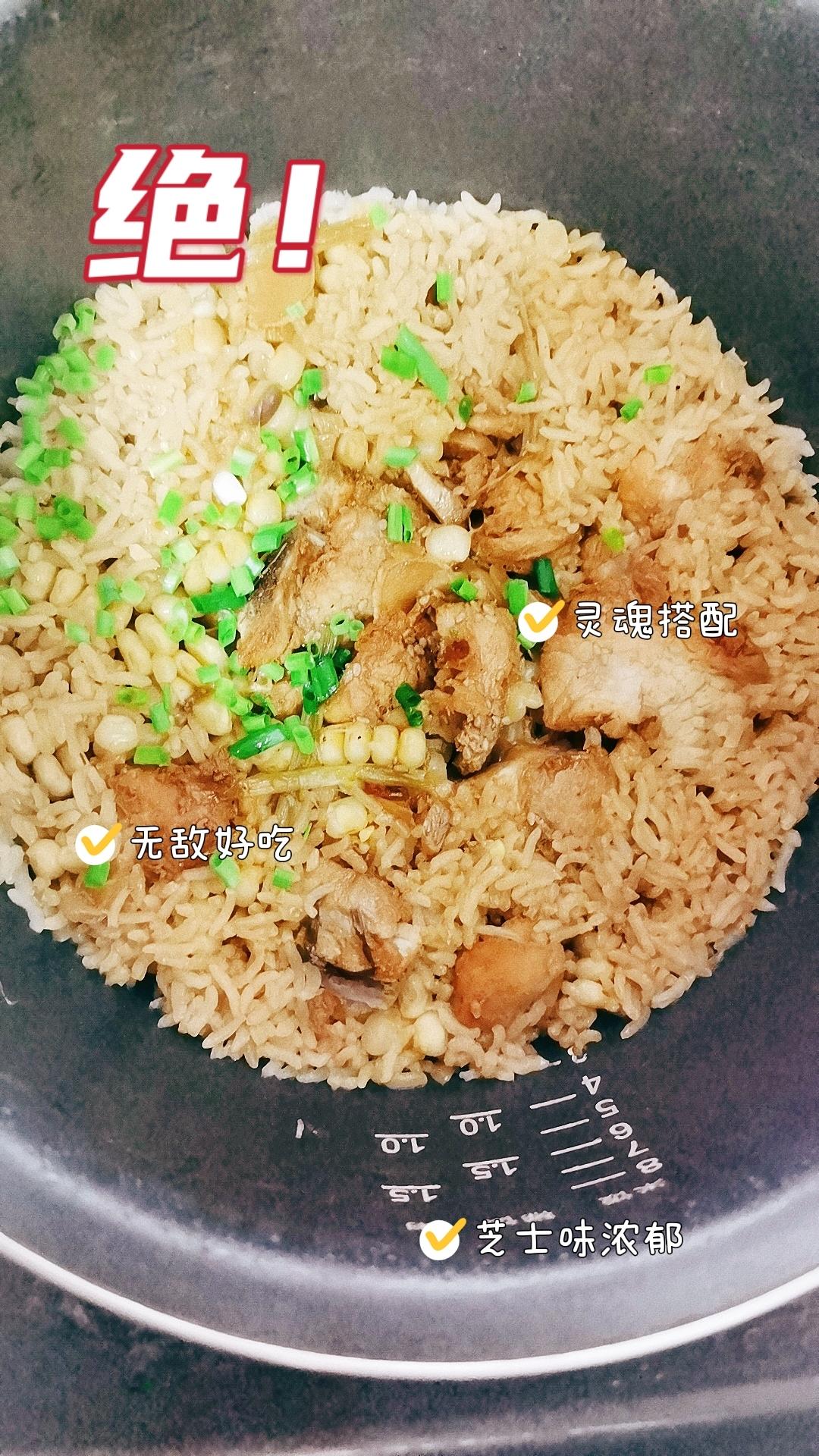 排骨焖饭/电饭煲焖饭煲仔饭