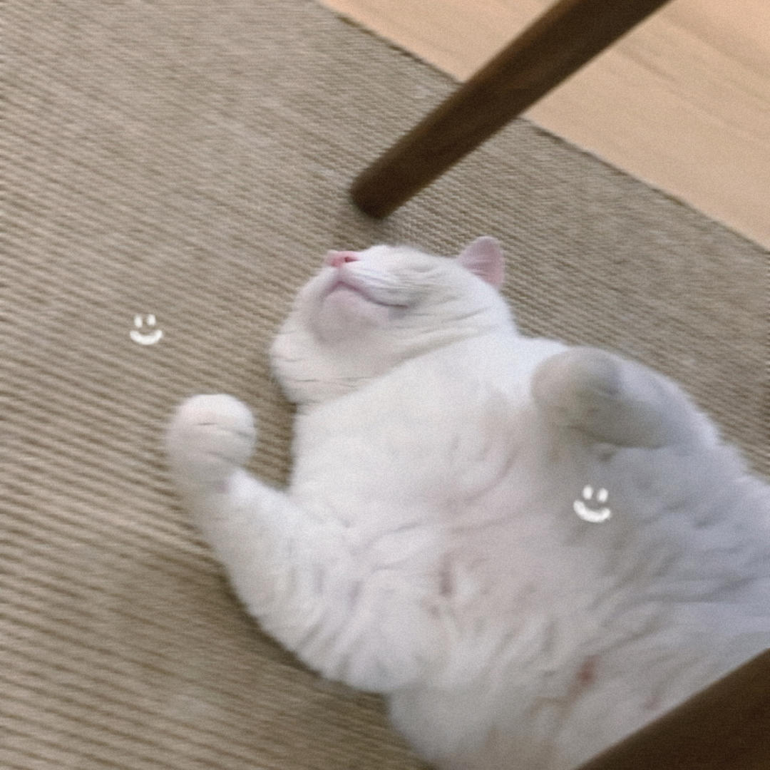 Yoki酱