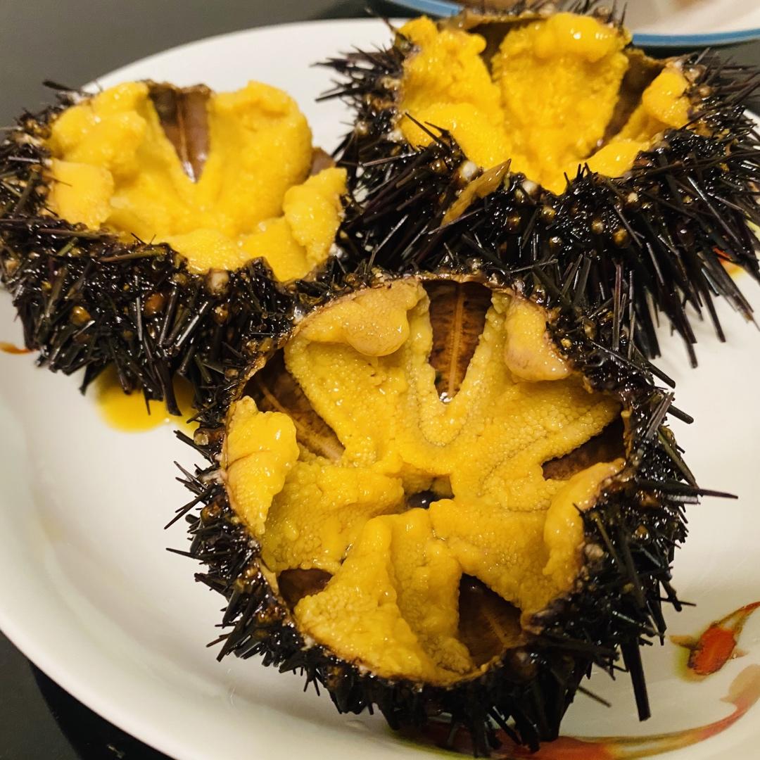 海胆刺身