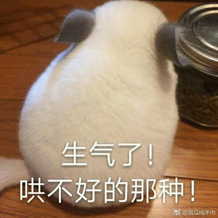 我小仙女