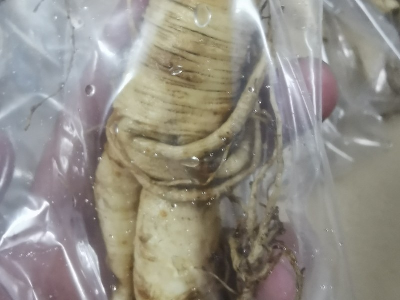 步骤图 人参保存方法的做法 人参保存方法的做法步骤 菜谱 下厨房 步骤图 人参保存方法的做法 人参保存方法的做法步骤 菜谱 下厨房
