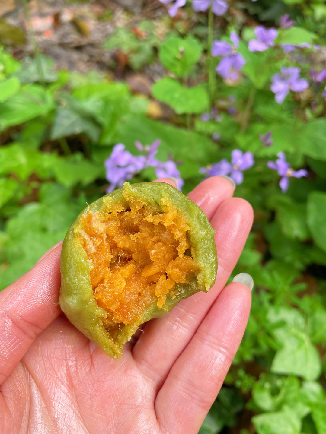 咸蛋黄肉松青团（大麦若叶青汁粉版）已更新