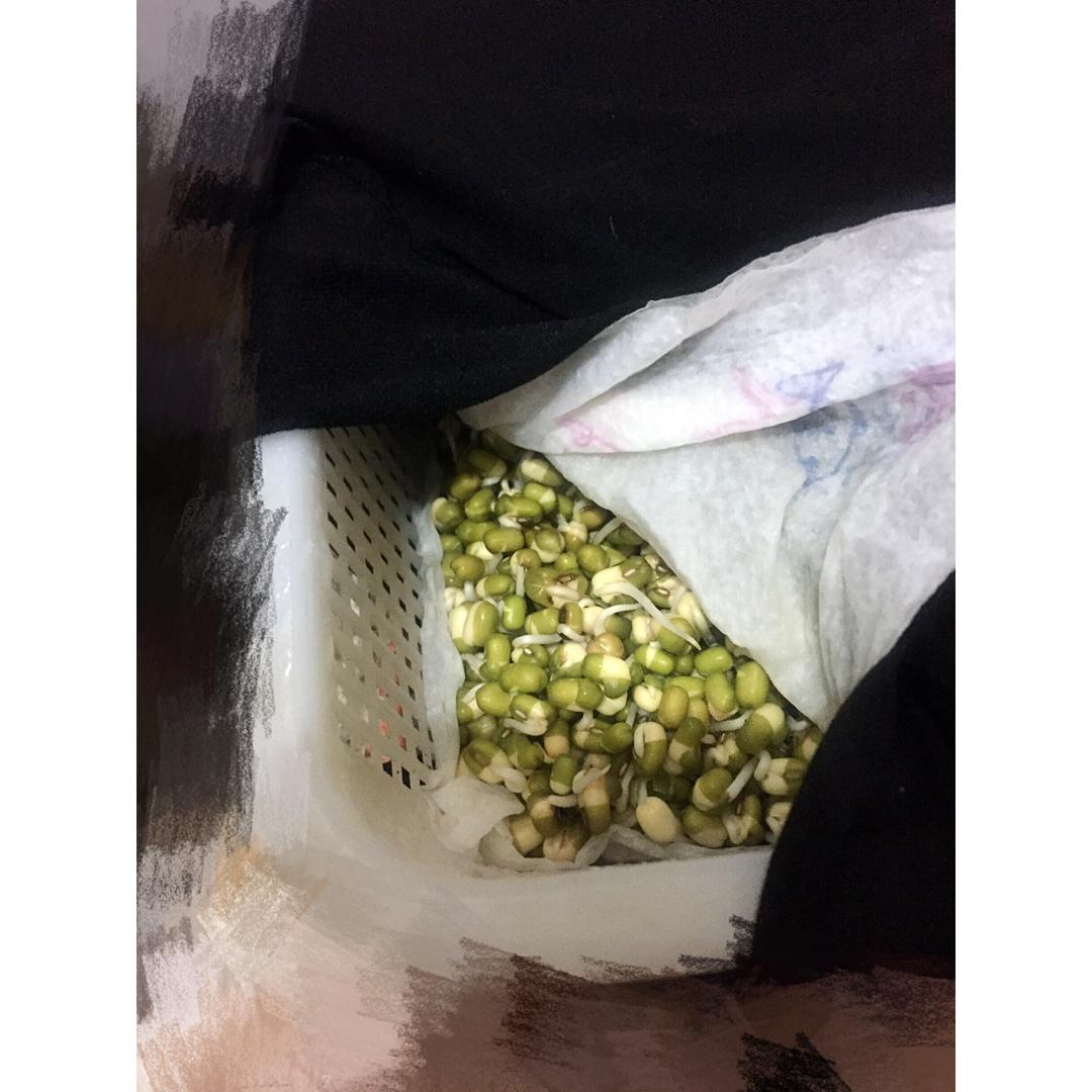 自制豆芽
