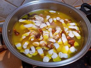 鲜松茸土鸡汤的做法 步骤6