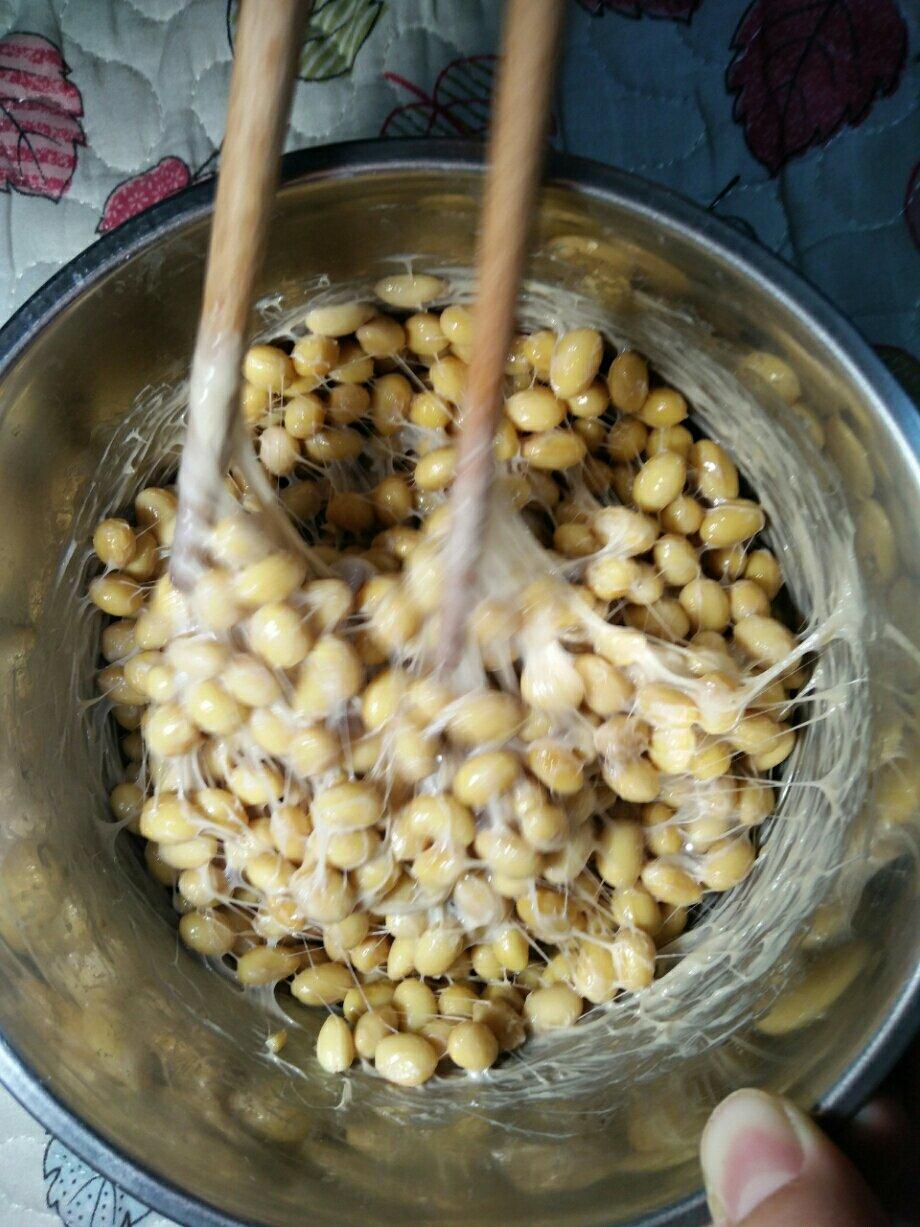 自制纳豆（酸奶机，面包机，烤箱版）