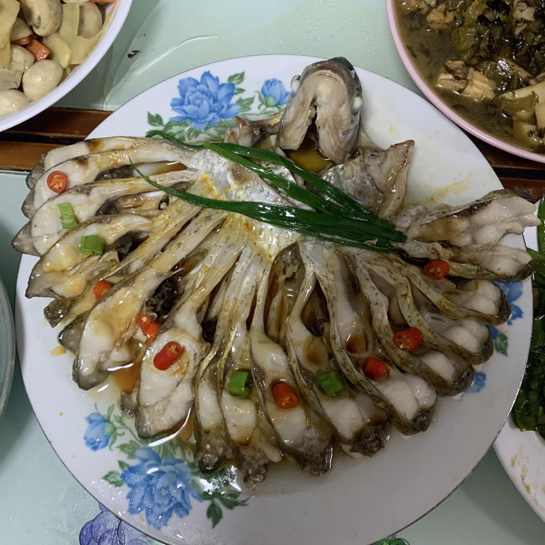 孔雀开屏鱼