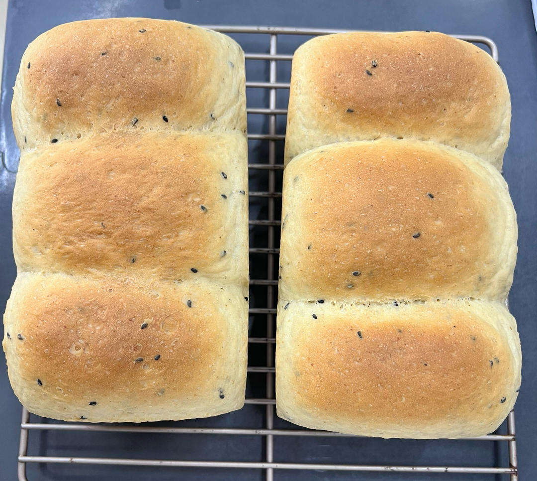 试过无数全麦吐司，还是这款40%全麦生吐司最好吃！