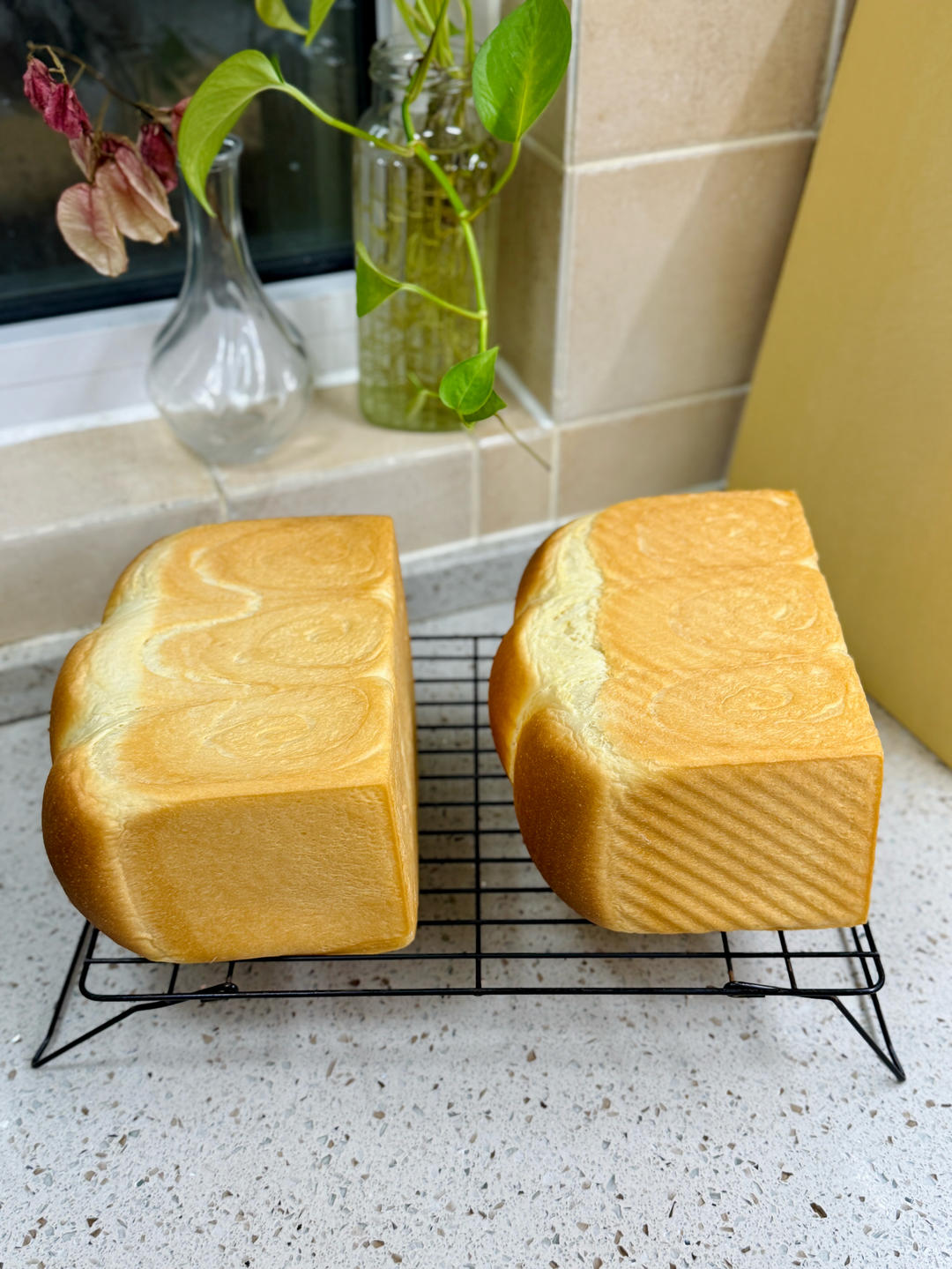 shuiting's吐司面包🍞