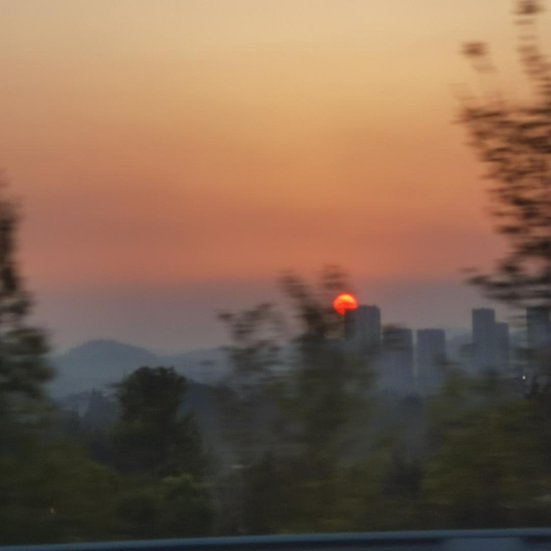 小哈爷