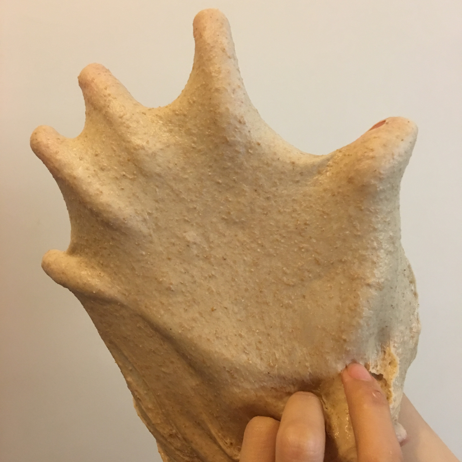 手工揉面揉至完全扩展阶段的经验汇总——鸭蹼不是梦！！！