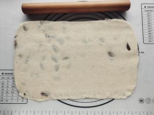 燕麦葡萄干馒头（一次性发酵）的做法 步骤5