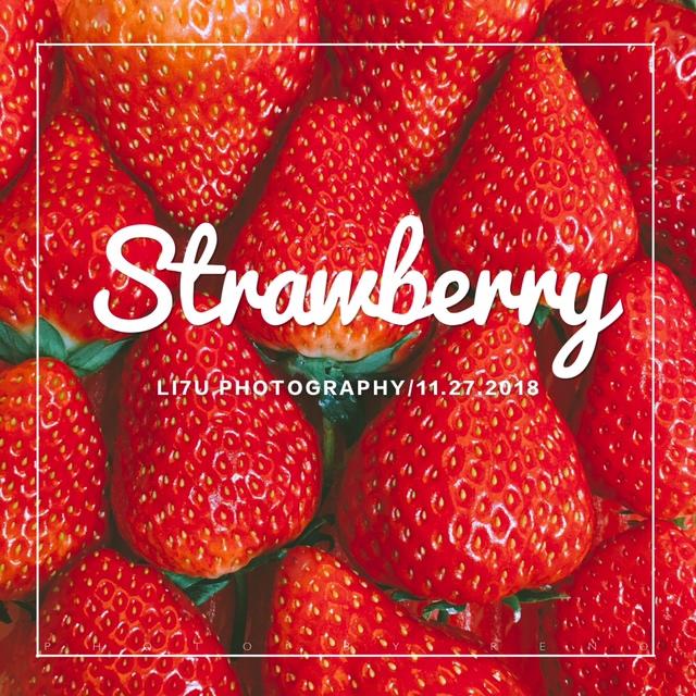 🎄圣诞&草莓🍓