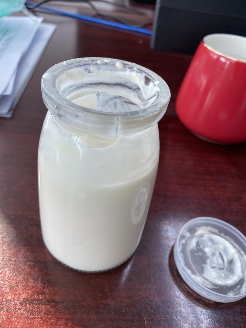 酸奶，自制酸奶，浓厚醇香