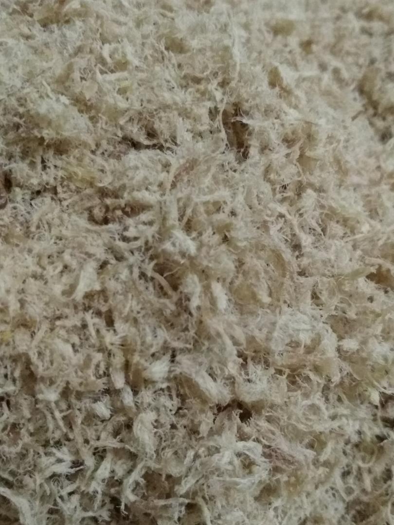 自制婴儿牛肉肉松（6个月-1岁）烤箱版