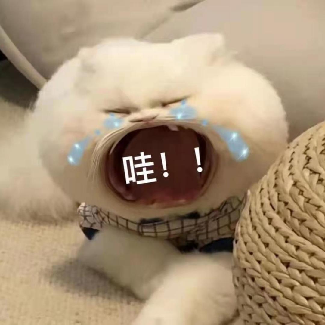 福狸子