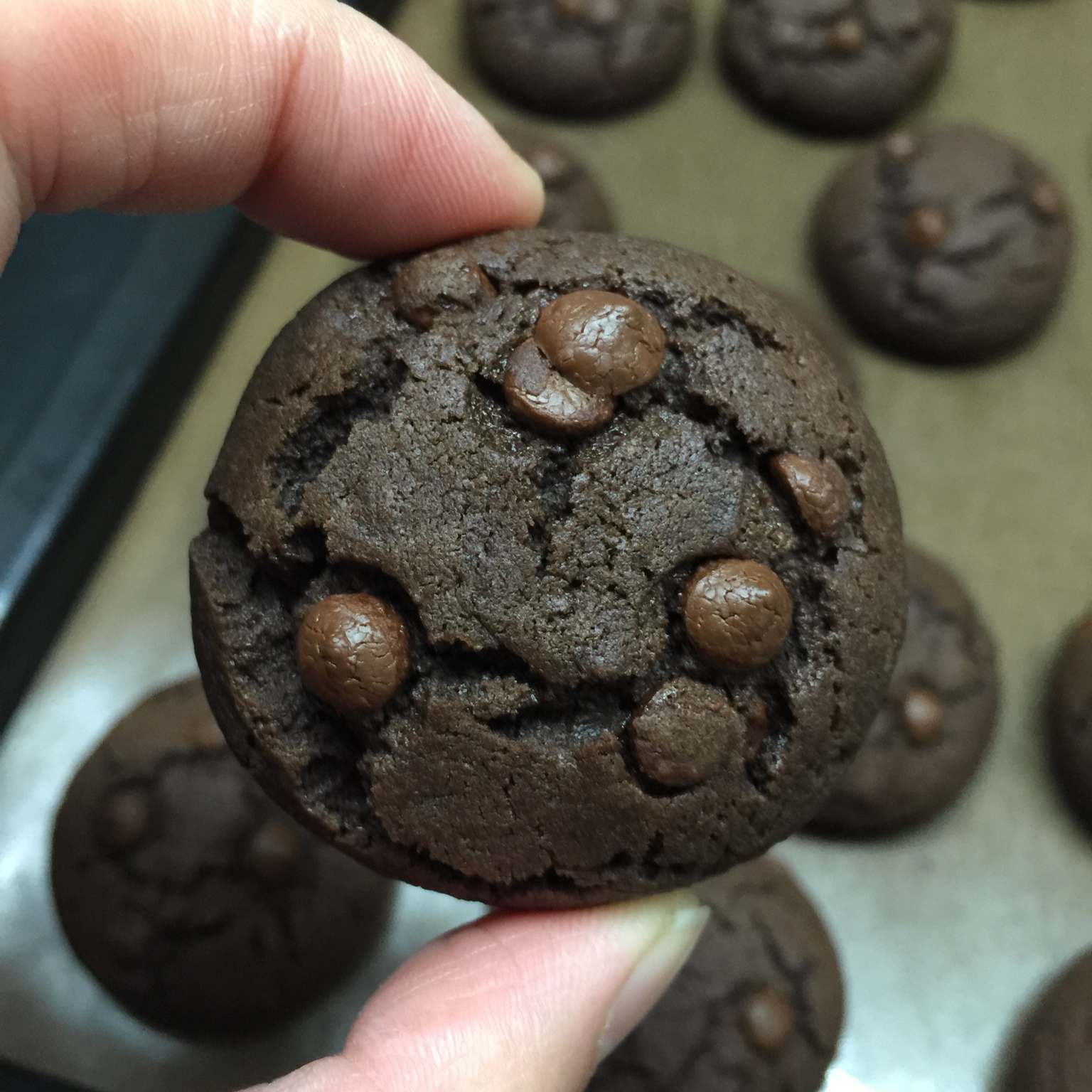 巧克力豆曲奇(Chocolate Chip Cookies)