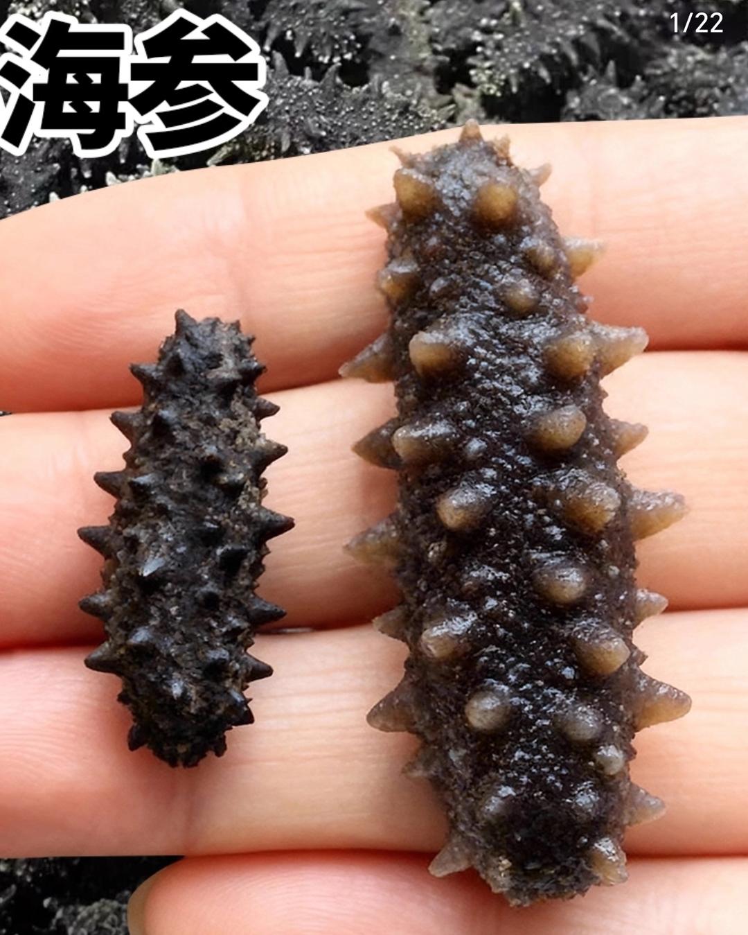 干海参泡发-小妙招