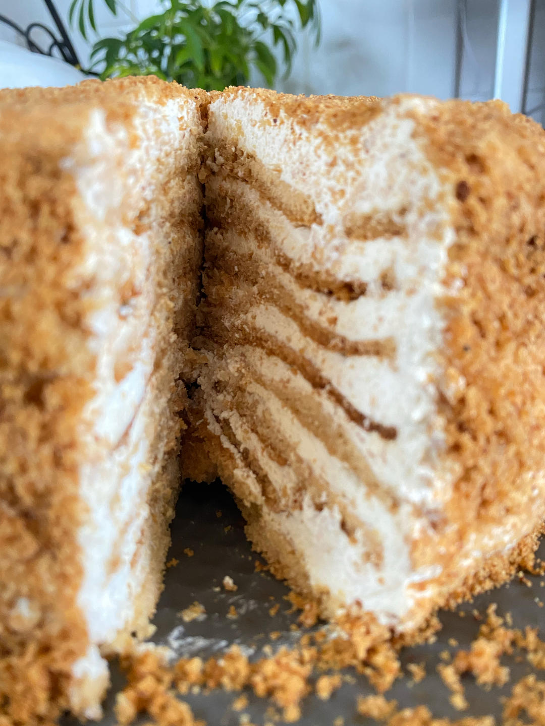 消失的旧金山网红甜品-俄罗斯蜂蜜蛋糕