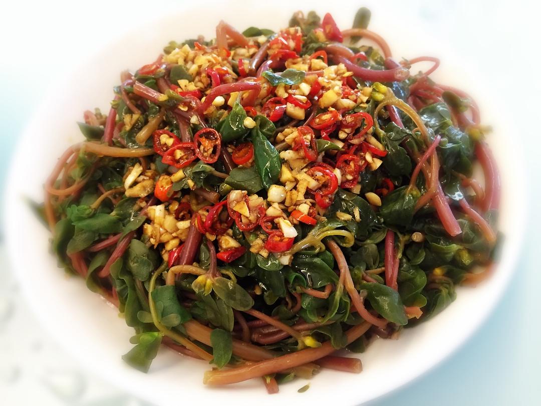 susanmm做的凉拌马齿苋