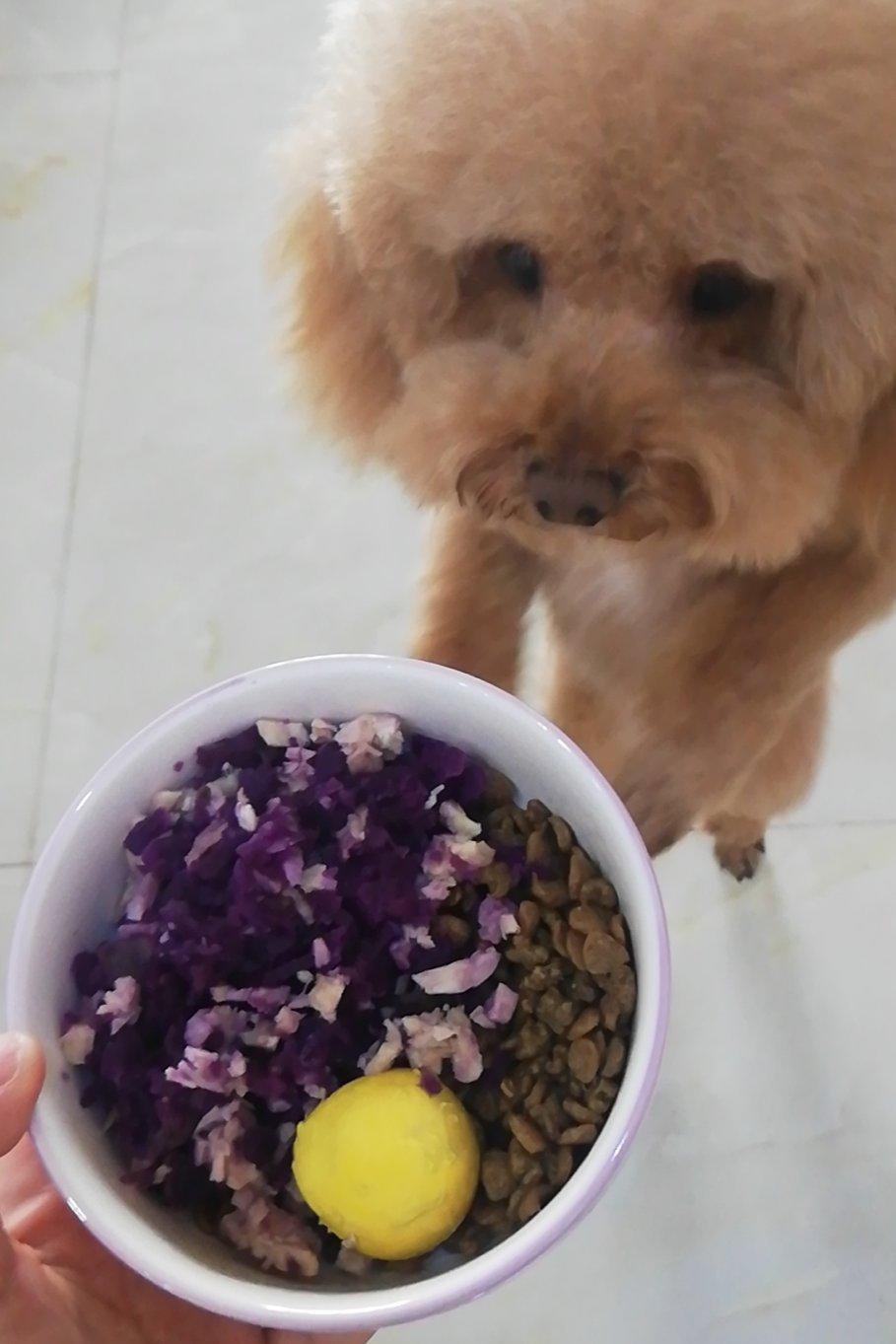 狗🐶粮～肉丸（不挑食版）