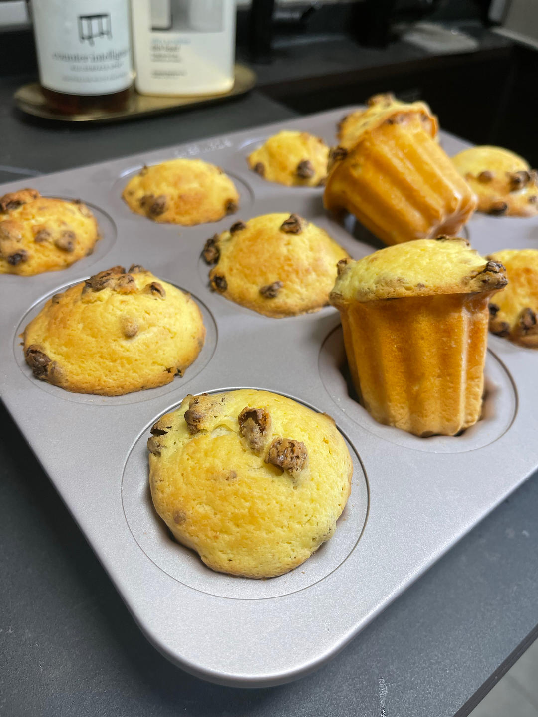 蔓越莓墨西哥面包｜小蘑菇牛奶面包｜一次发酵