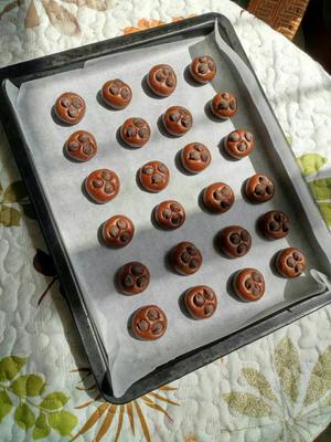 巧克力豆曲奇饼干的做法 步骤6