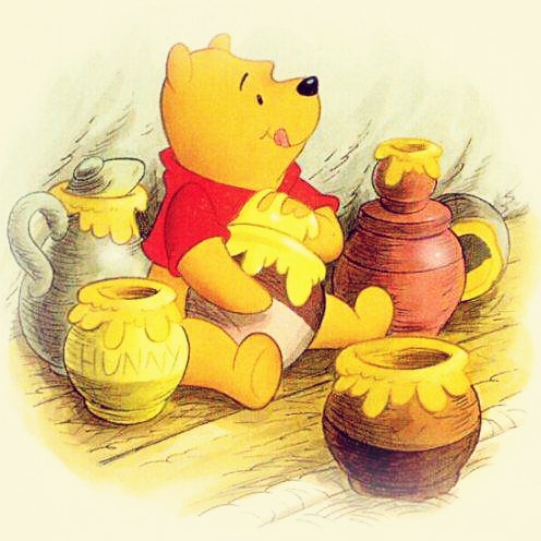 小熊吃蜂蜜的厨房