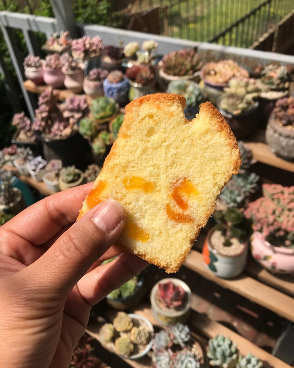 基础款——香草磅蛋糕