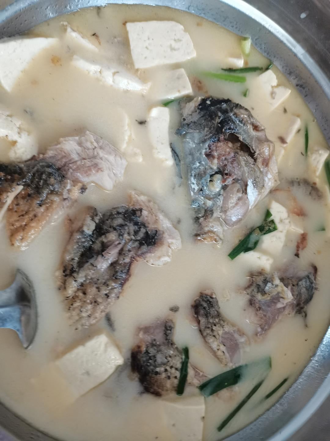 鲤鱼豆腐汤