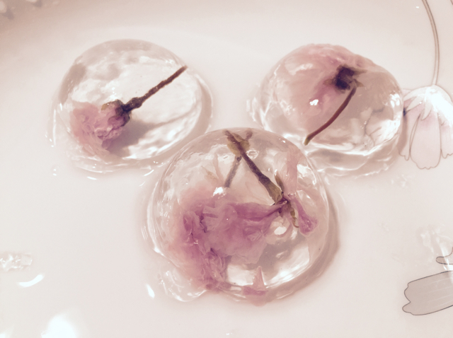 日本最温柔的梦幻和菓子 — 水信玄饼