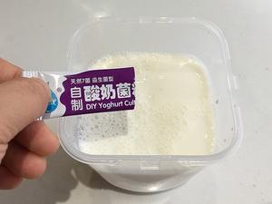 酸奶盆栽的做法 步骤3