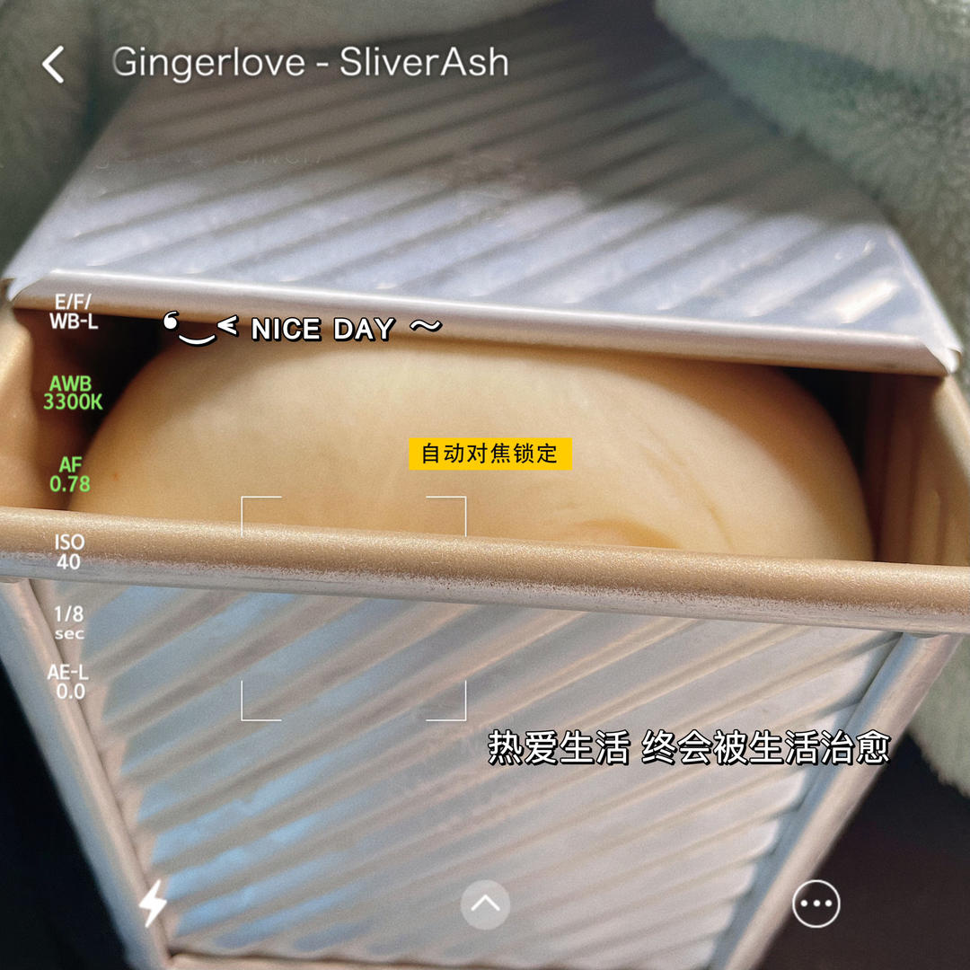 超软拉丝牛奶吐司🍞一次发酵