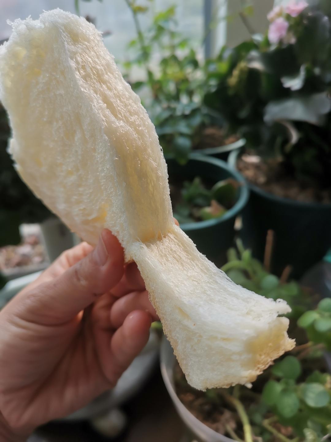 鲁邦种蘑菇头脆皮吐司