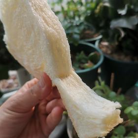 鲁邦种蘑菇头脆皮吐司