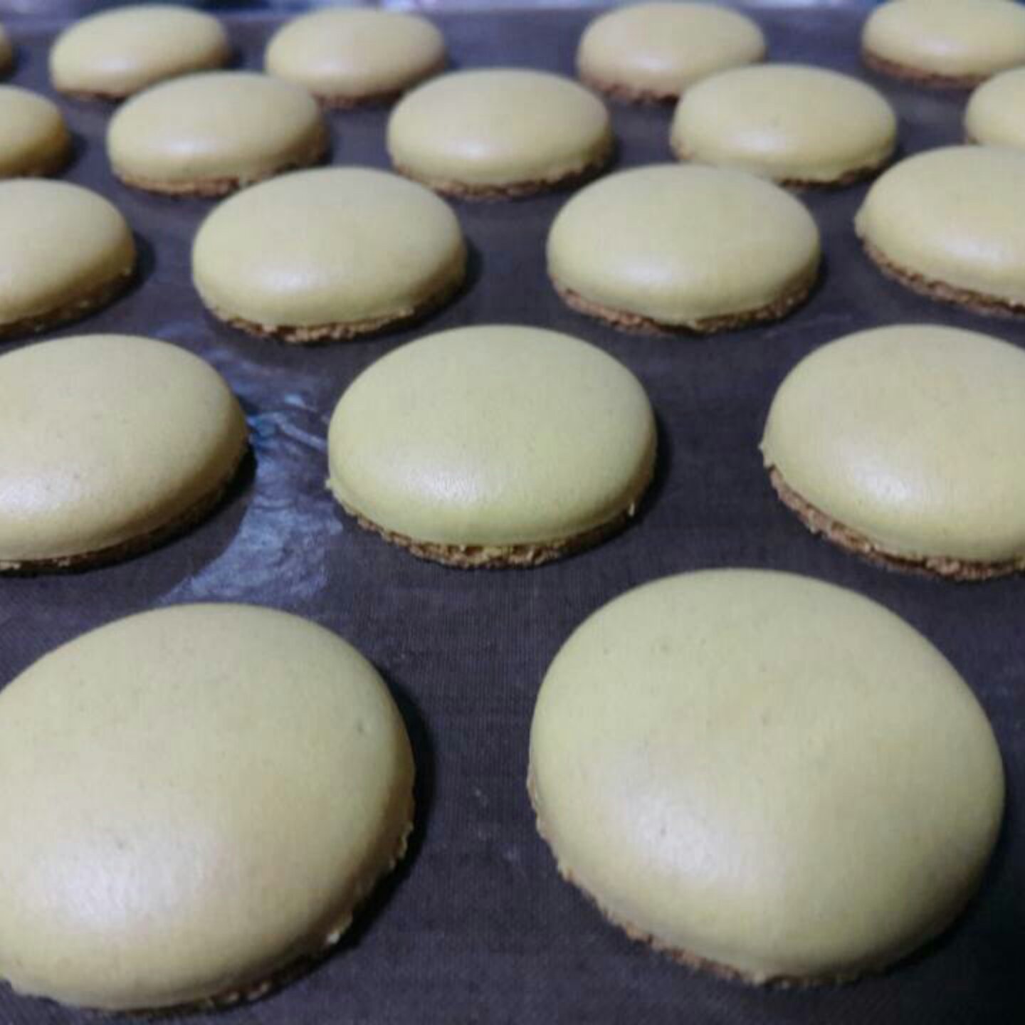 少女的酥胸--马卡隆，Macaroon
