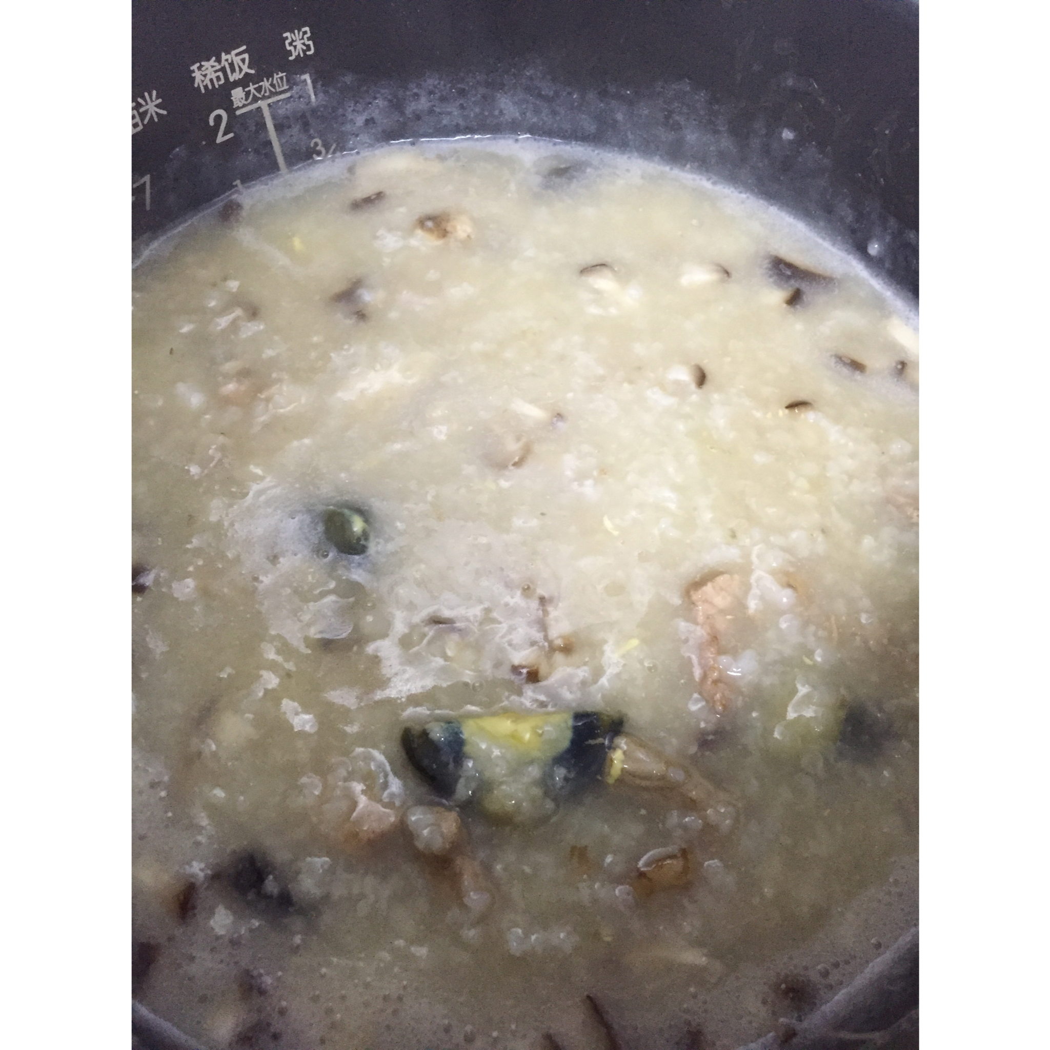 电饭煲版皮蛋瘦肉粥