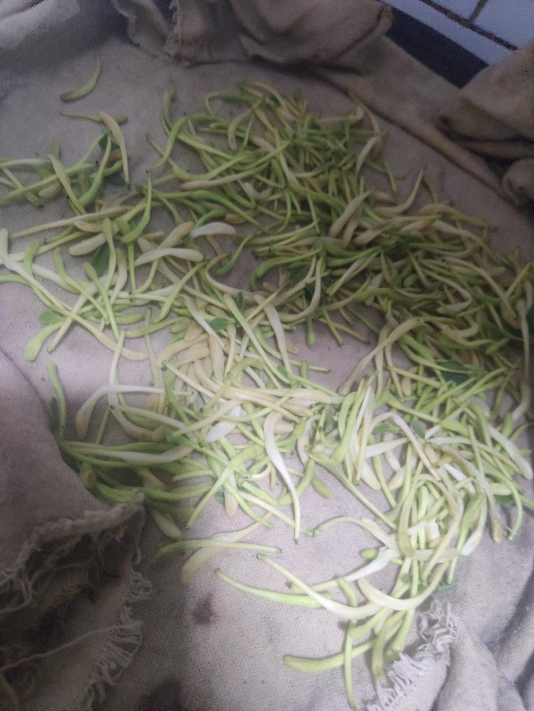 金银花茶（空气炸锅）