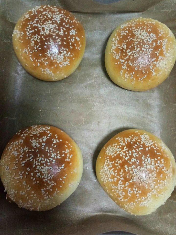 汉堡胚 poolish（波兰种）