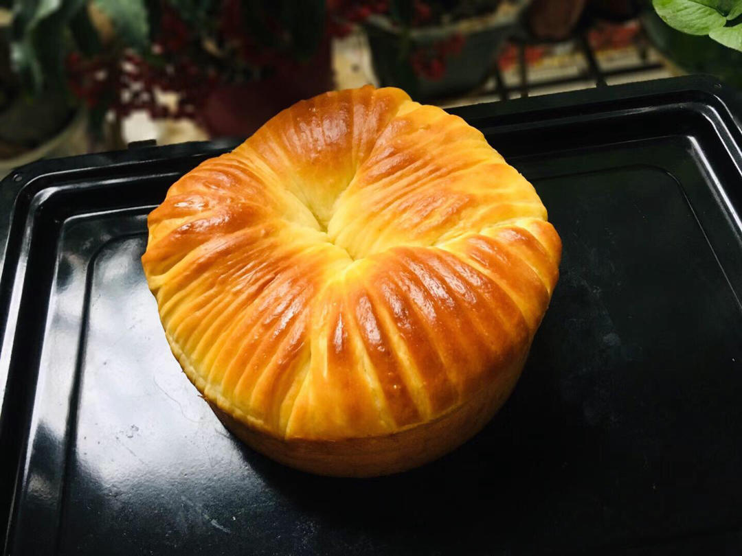 毛线球🧶面包