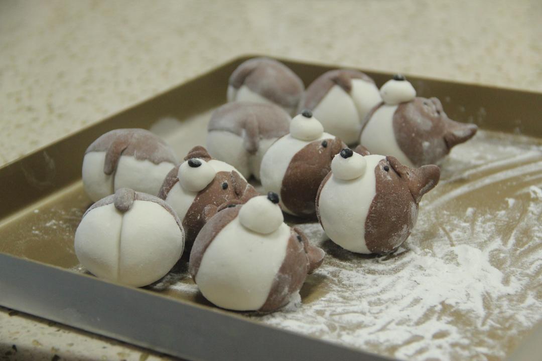 柯基黑芝麻汤圆～携狗子祝大家元宵节快乐呀！