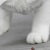 啊哈哈哈asa