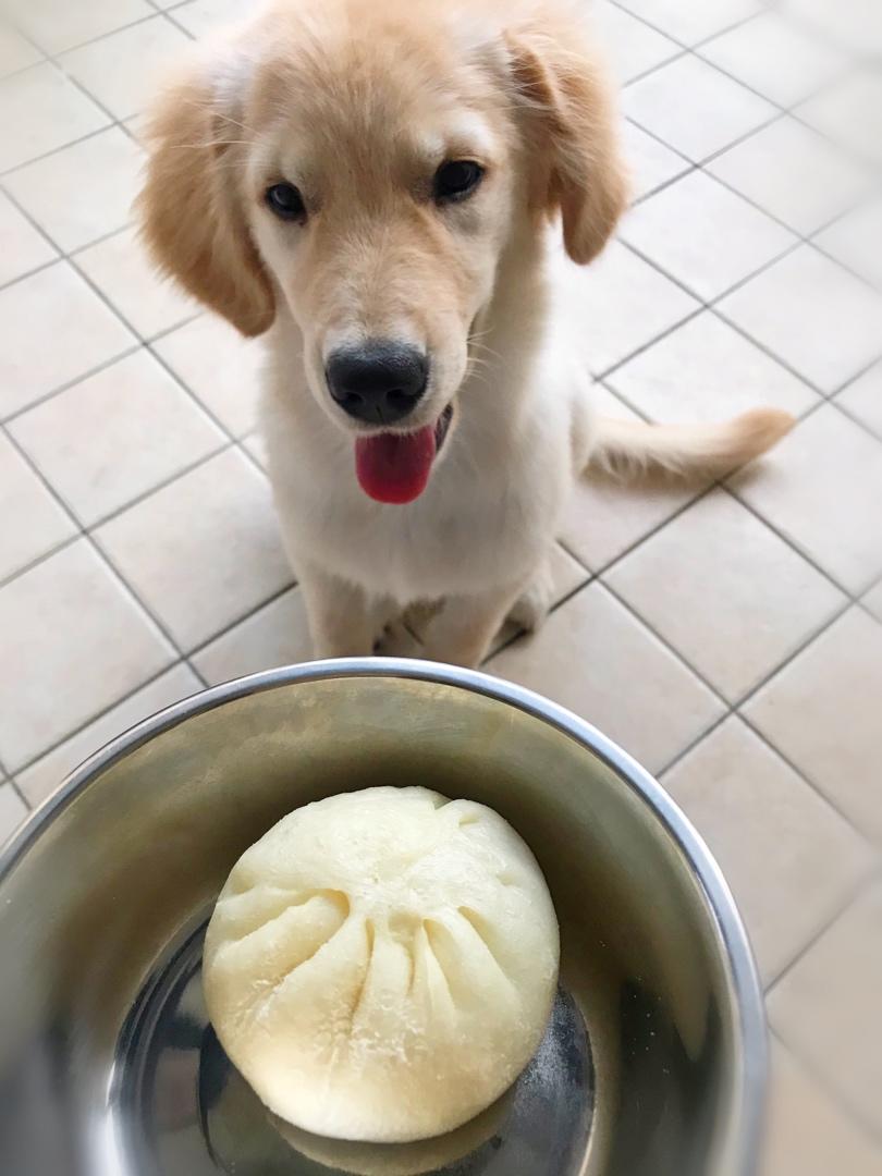 王扁扁的狗饭——狗不理包子