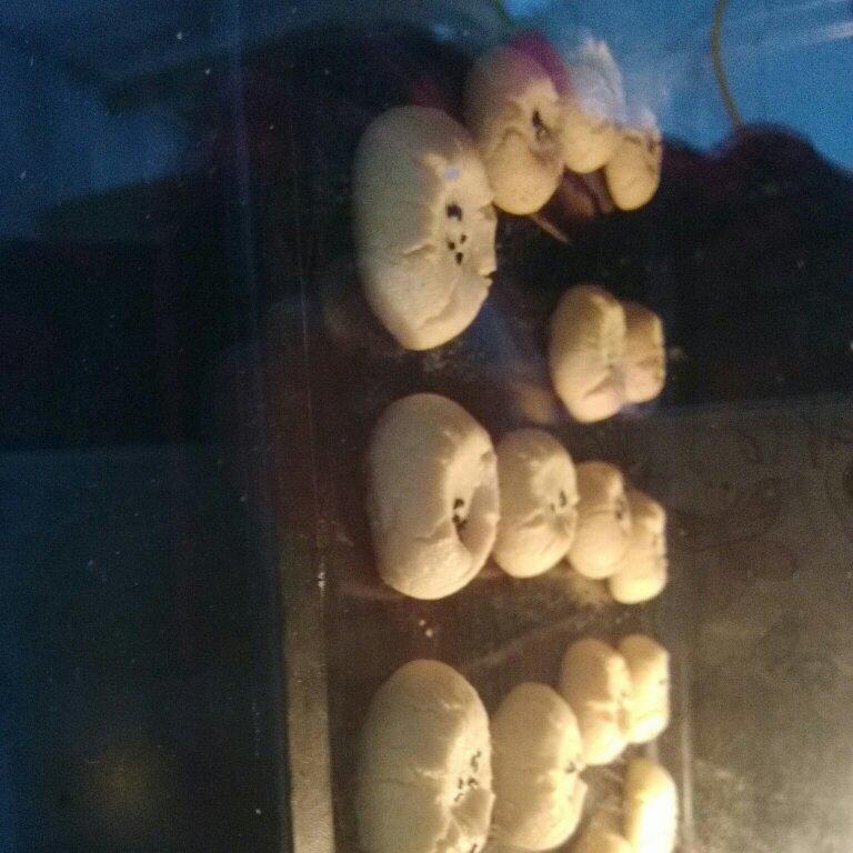 桃酥